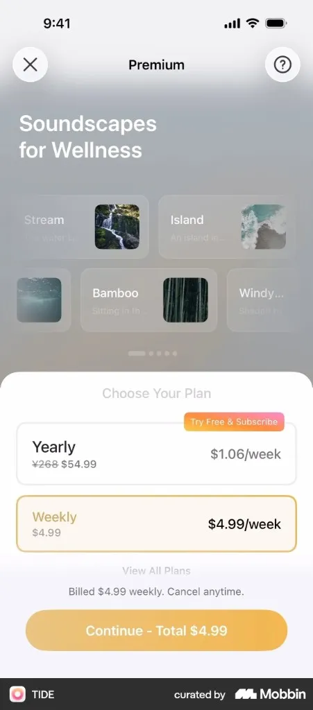 Consumer SaaS